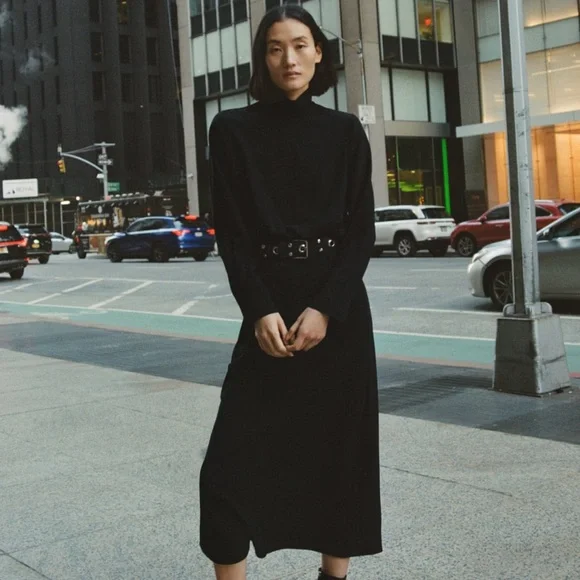 zara high neck midi dress Zara | Dresses | Zara Nwt High Collar Midi Dress Size M